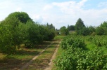 Wadowice, centrum, teren inwestycyjny