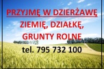 Wezmę w dzierżawę grunty rolne, nieużytki, łąki