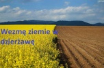 Wezmę w dzierżawę ziemię w gminach: Iwanowice, Krzeszowice, Liszki, Zabierzów