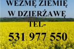 Wezmę w dzierżawę