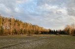Wydzierżawię 4 hektary ziemi w Lisach (województwo lubelskie)