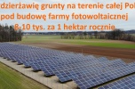 Wydzierżawię grunty na terenie całej Polski