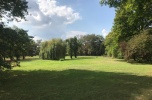 Wyłącznie u nas, działka pod zabudowę wielorodzinną w Paczkowie, województwo opolskie, 83 000 m2