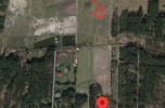Wynajmę działkę pod agroturystykę, konie alpaki