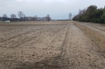 Wynajmę działkę pod agroturystykę, konie alpaki