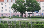 Wynajmę lokal 130 m2 w ścisłym centrum Elbląga