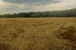 Ziemia na sprzedaż około 7 hektarów dobra cena warto