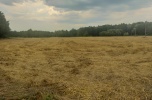 Ziemia na sprzedaż około 7 hektarów dobra cena warto