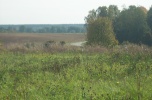 Ziemia rolna 2,75 ha