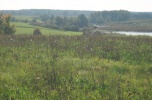 Ziemia rolna 2,75 ha